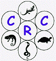 Cape Reptile Club logo
